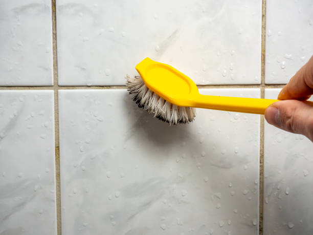 Best Best Mold Removal Companies  in Eagle Butte, SD