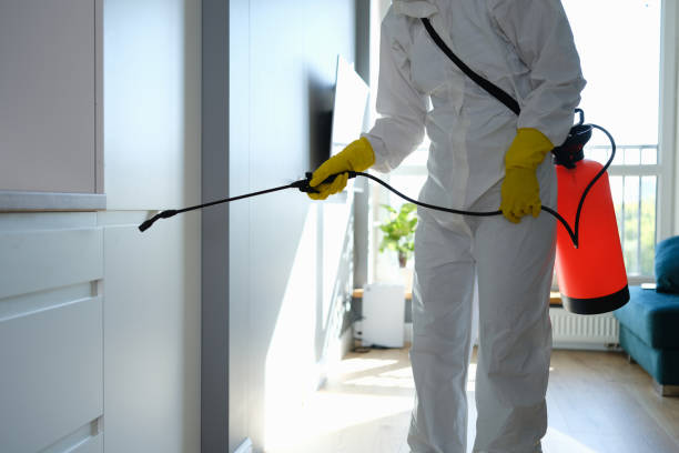 Professional Mold Removal in Eagle Butte, SD