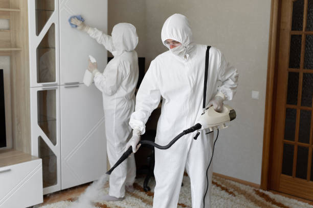 Best Mold Damage Repair  in Eagle Butte, SD