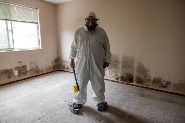 Best Mold Remediation  in Eagle Butte, SD